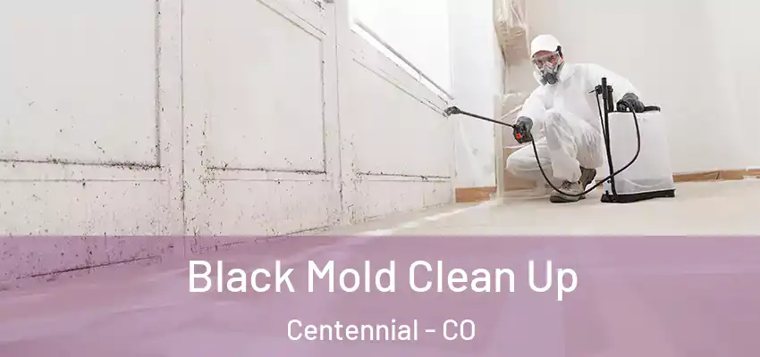  Black Mold Clean Up Centennial - CO