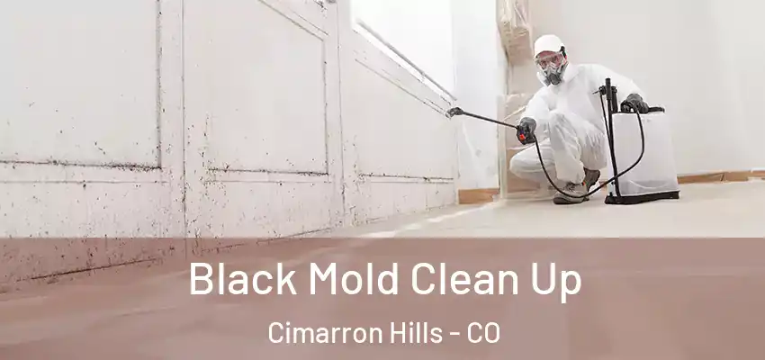  Black Mold Clean Up Cimarron Hills - CO