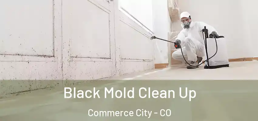  Black Mold Clean Up Commerce City - CO