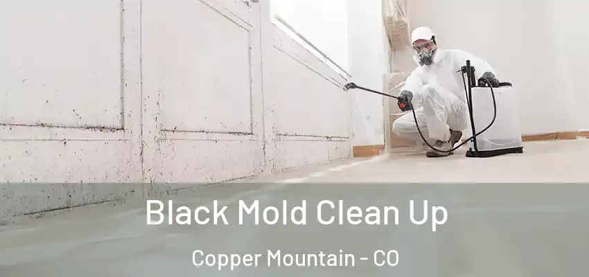 Black Mold Clean Up Copper Mountain - CO