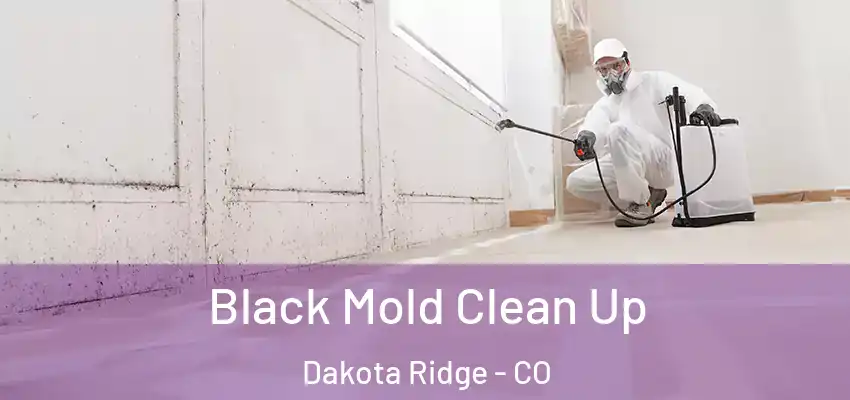  Black Mold Clean Up Dakota Ridge - CO