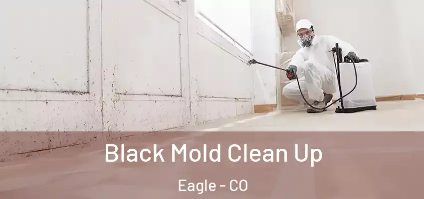 Black Mold Clean Up Eagle - CO