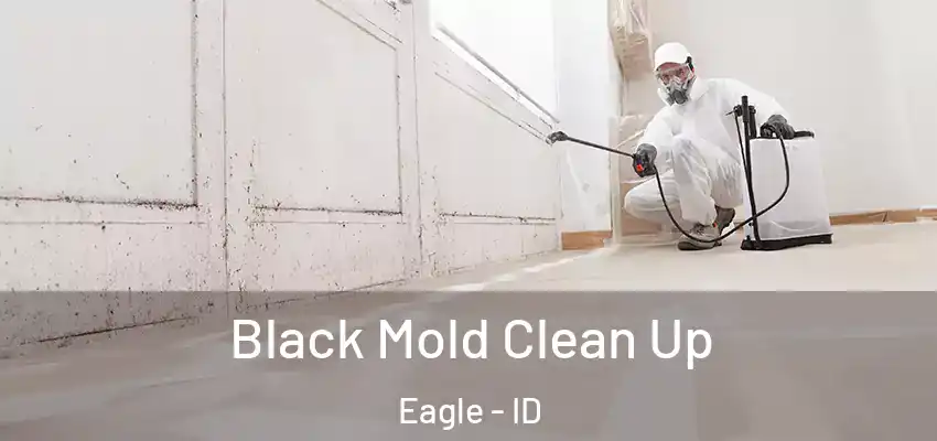  Black Mold Clean Up Eagle - ID