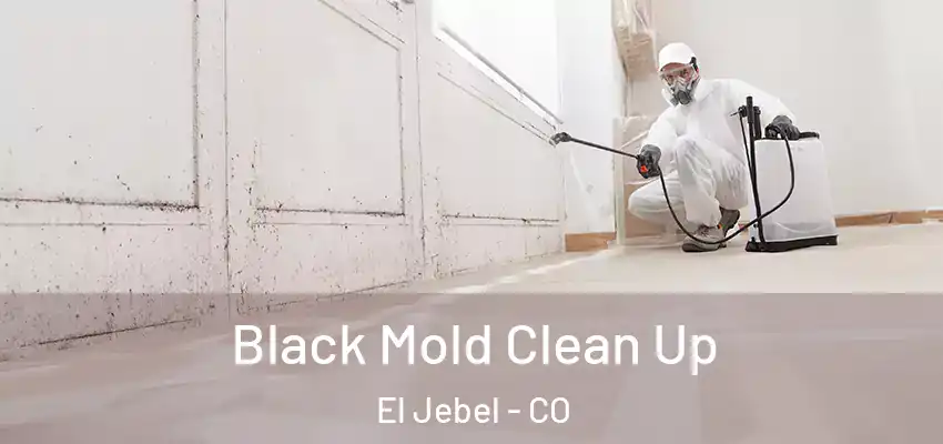 Black Mold Clean Up El Jebel - CO