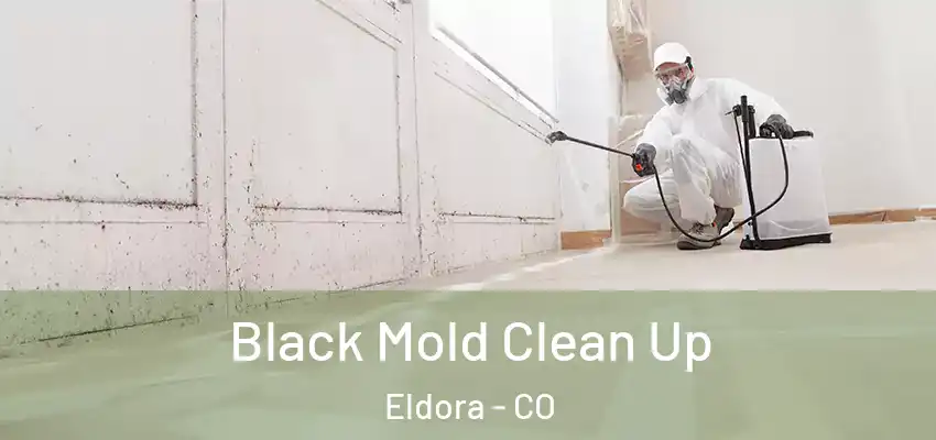 Black Mold Clean Up Eldora - CO