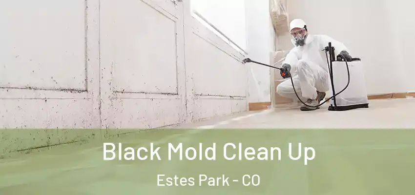  Black Mold Clean Up Estes Park - CO