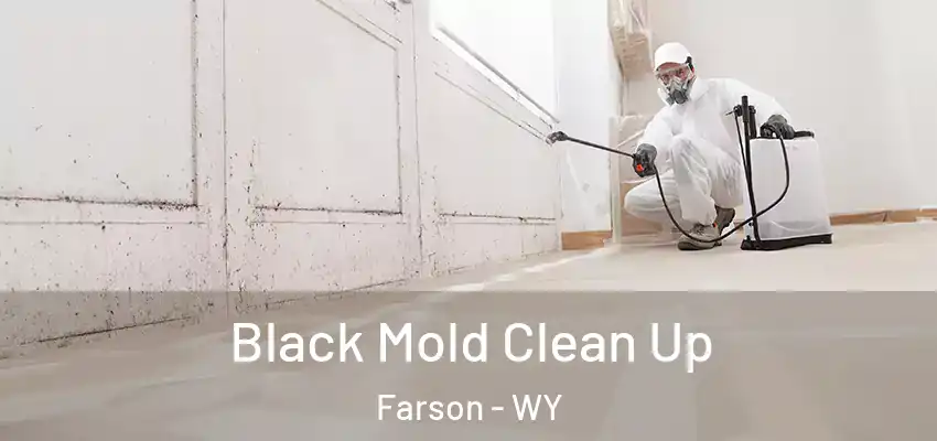 Black Mold Clean Up Farson - WY