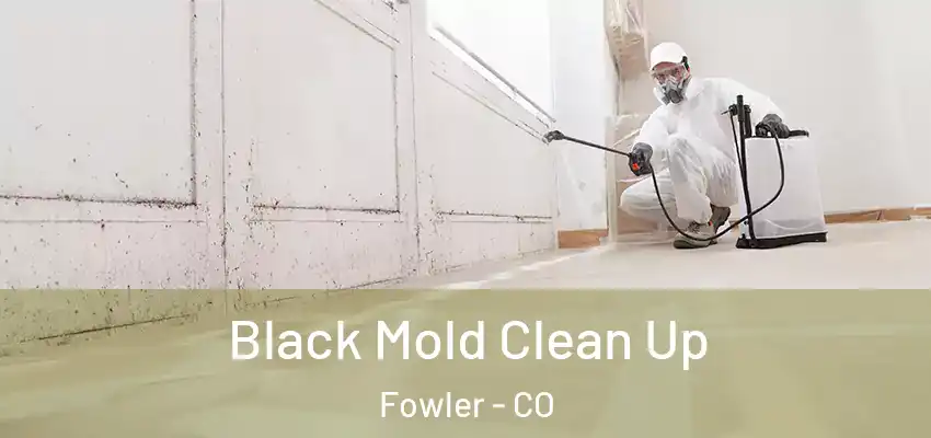 Black Mold Clean Up Fowler - CO