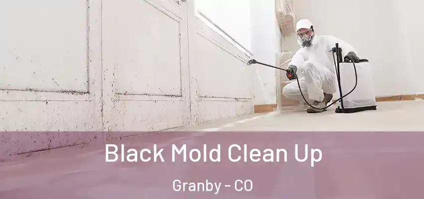 Black Mold Clean Up Granby - CO