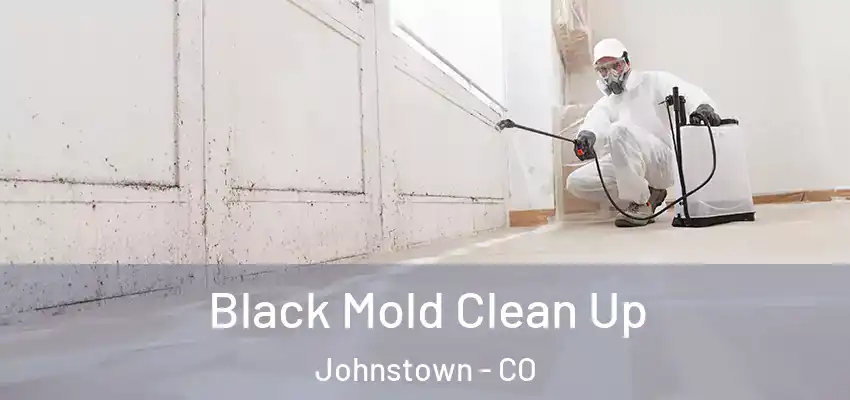 Black Mold Clean Up Johnstown - CO