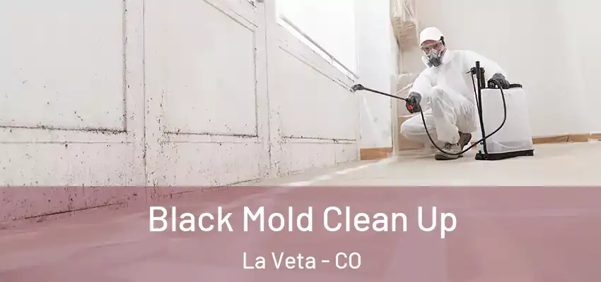  Black Mold Clean Up La Veta - CO