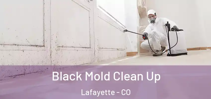 Black Mold Clean Up Lafayette - CO