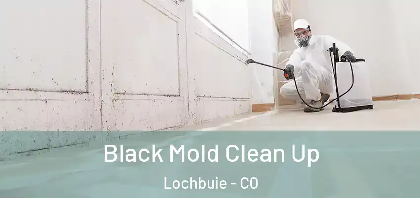  Black Mold Clean Up Lochbuie - CO