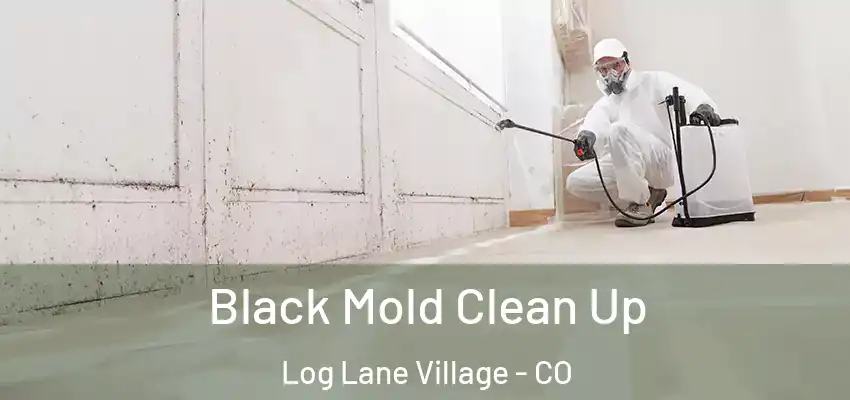  Black Mold Clean Up Log Lane Village - CO