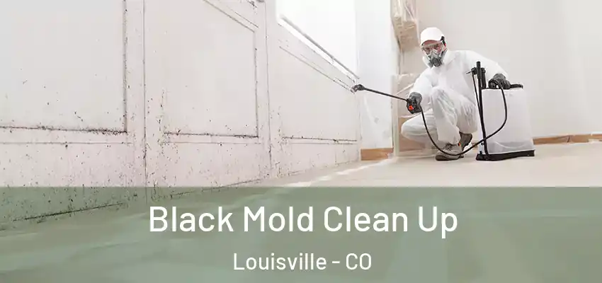  Black Mold Clean Up Louisville - CO