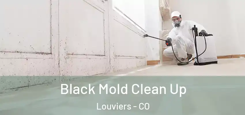 Black Mold Clean Up Louviers - CO