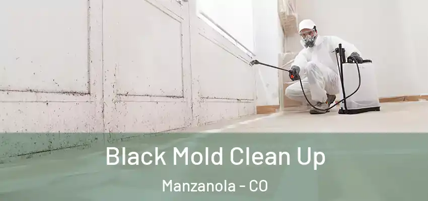 Black Mold Clean Up Manzanola - CO