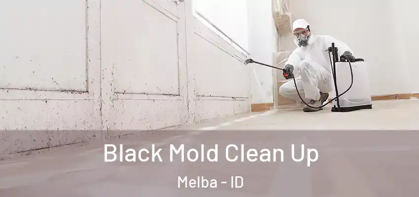  Black Mold Clean Up Melba - ID