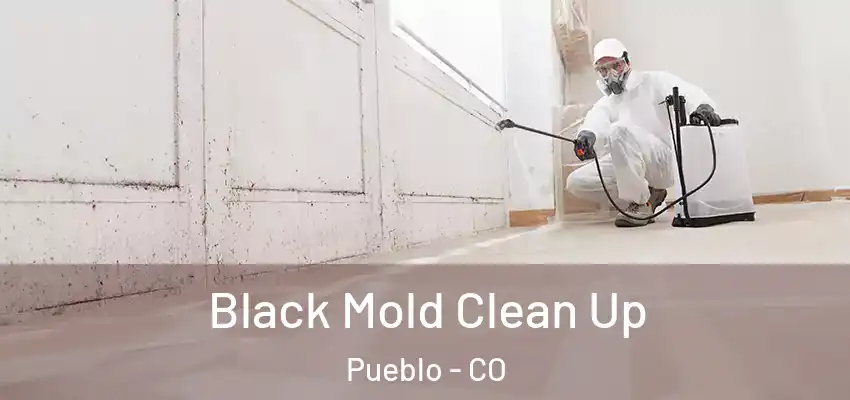  Black Mold Clean Up Pueblo - CO