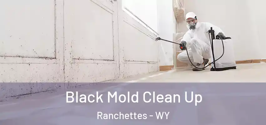  Black Mold Clean Up Ranchettes - WY