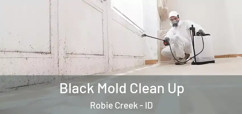  Black Mold Clean Up Robie Creek - ID
