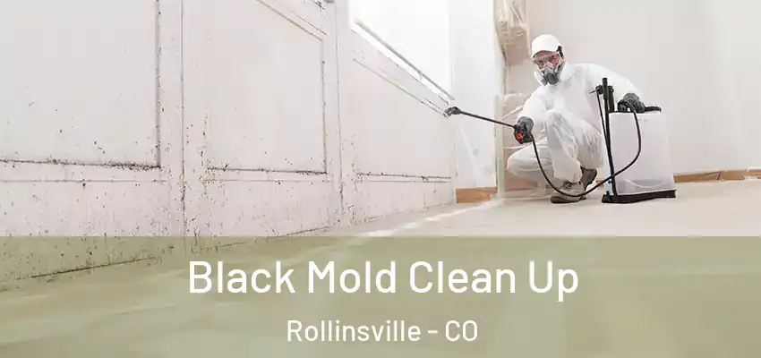  Black Mold Clean Up Rollinsville - CO