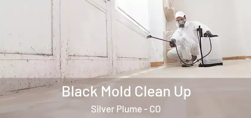  Black Mold Clean Up Silver Plume - CO