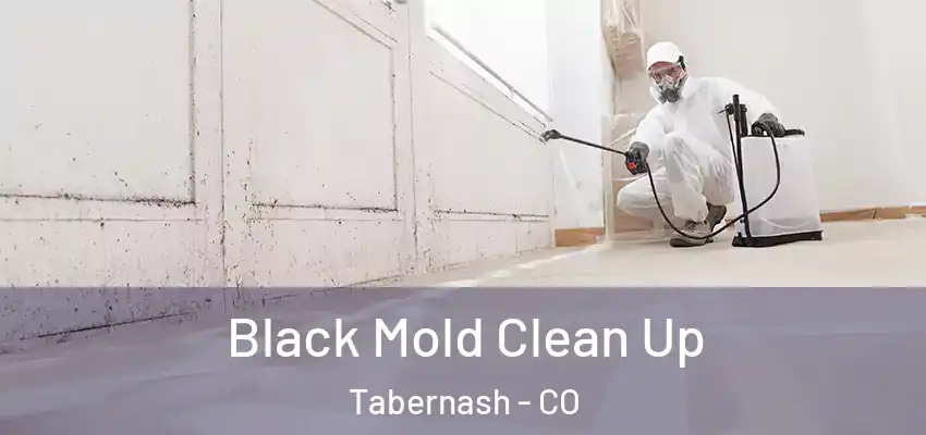 Black Mold Clean Up Tabernash - CO