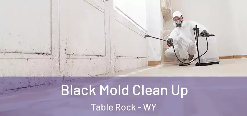 Black Mold Clean Up Table Rock - WY