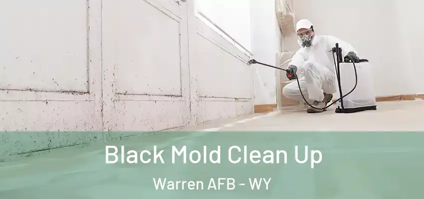  Black Mold Clean Up Warren AFB - WY