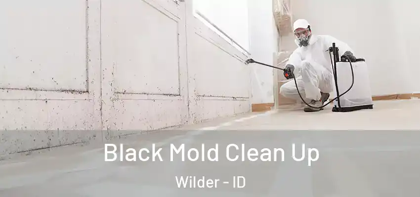  Black Mold Clean Up Wilder - ID