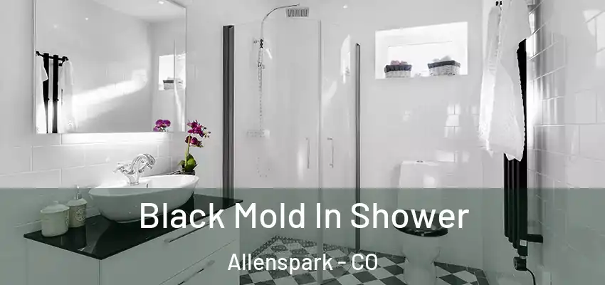  Black Mold In Shower Allenspark - CO
