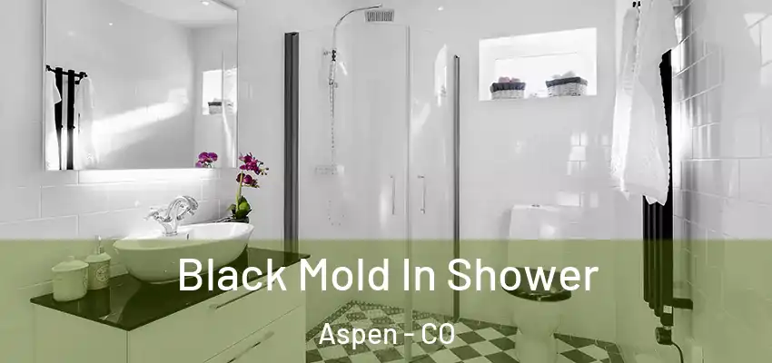  Black Mold In Shower Aspen - CO