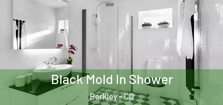  Black Mold In Shower Berkley - CO