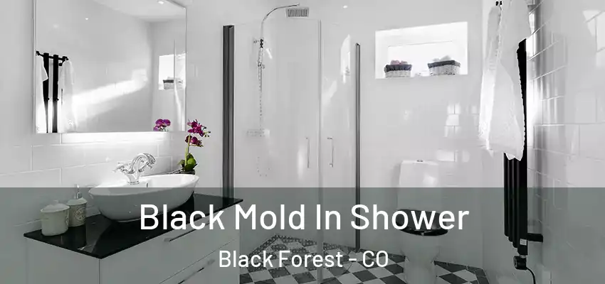  Black Mold In Shower Black Forest - CO