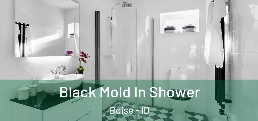  Black Mold In Shower Boise - ID
