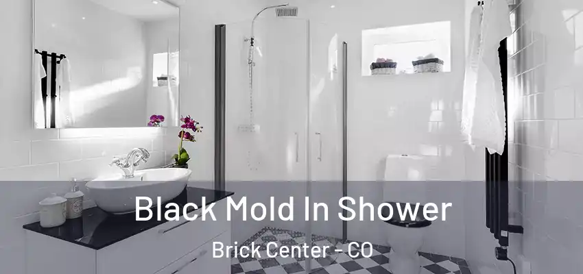  Black Mold In Shower Brick Center - CO