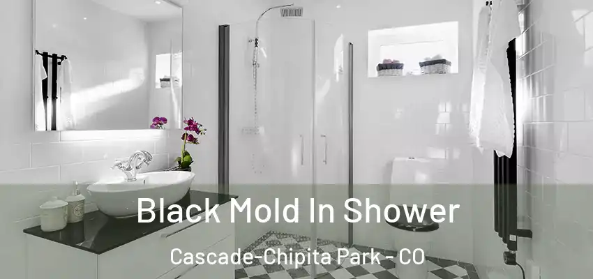  Black Mold In Shower Cascade-Chipita Park - CO