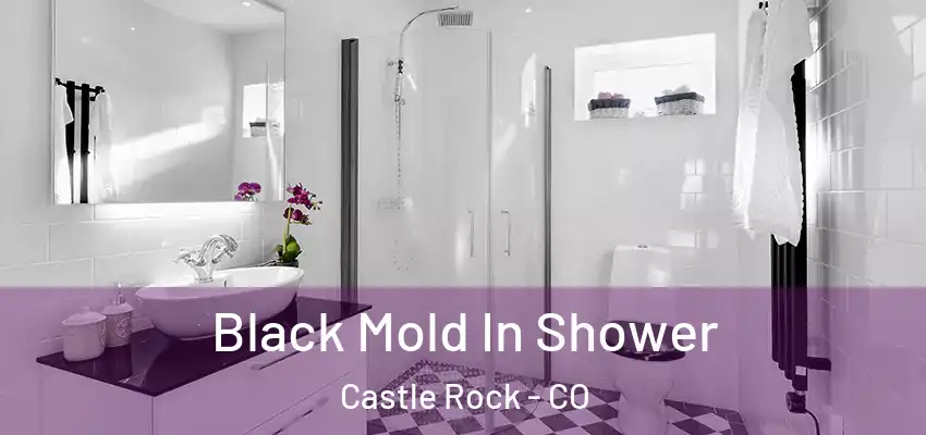  Black Mold In Shower Castle Rock - CO