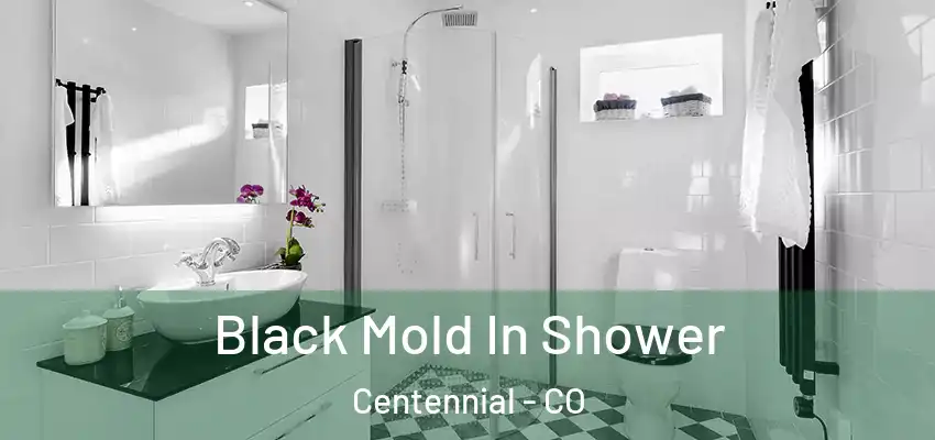  Black Mold In Shower Centennial - CO