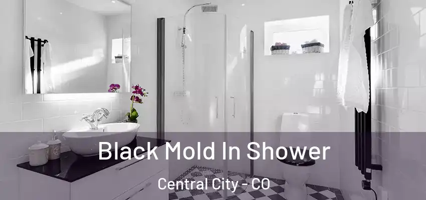  Black Mold In Shower Central City - CO