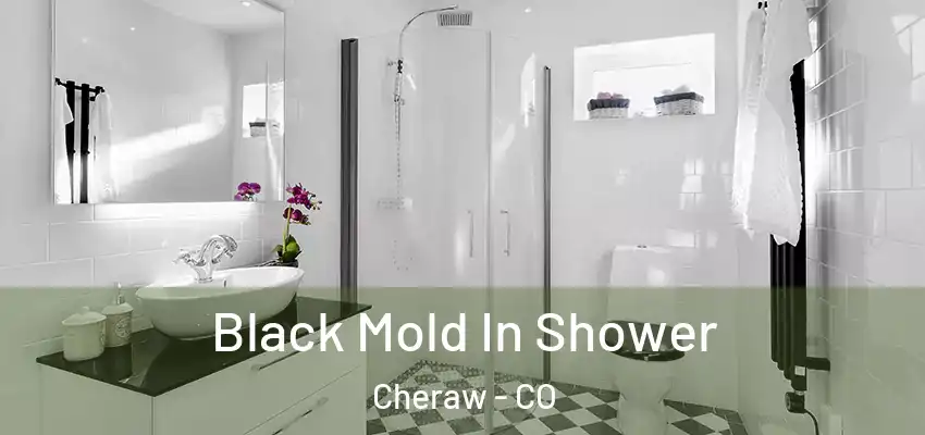  Black Mold In Shower Cheraw - CO