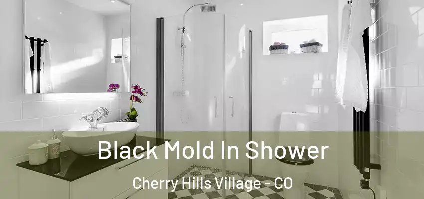  Black Mold In Shower Cherry Hills Village - CO