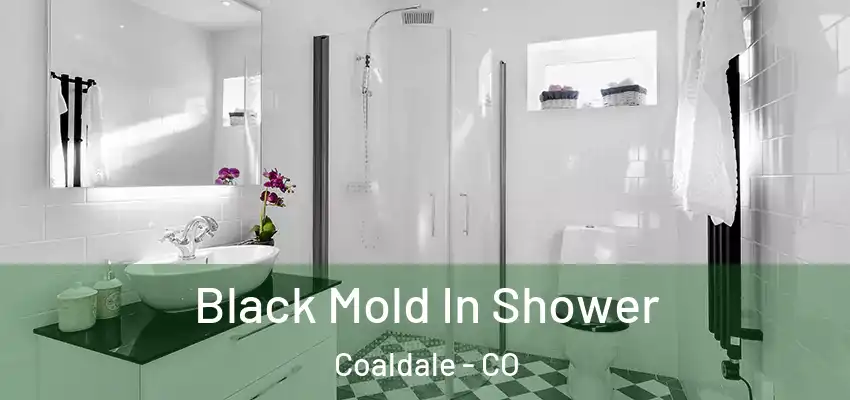  Black Mold In Shower Coaldale - CO