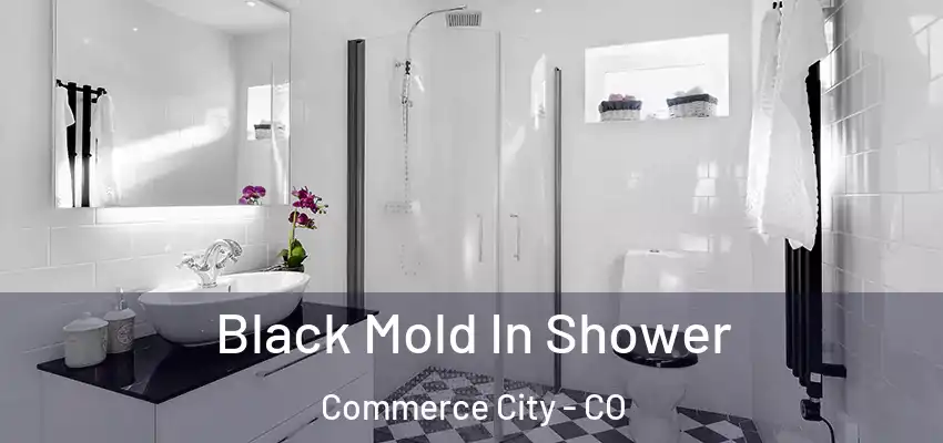  Black Mold In Shower Commerce City - CO