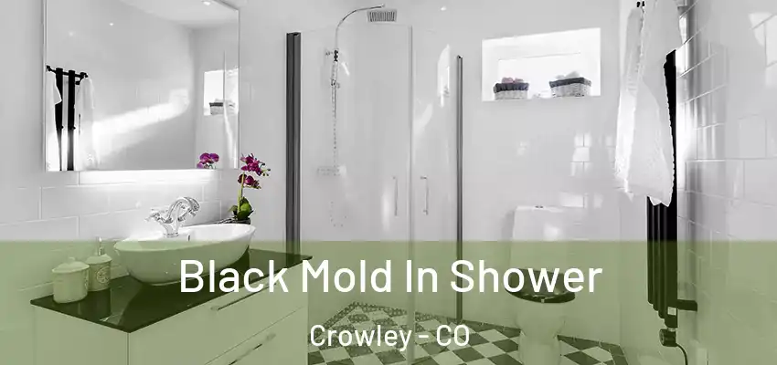  Black Mold In Shower Crowley - CO
