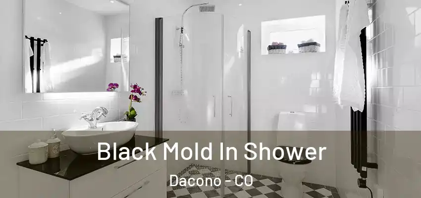  Black Mold In Shower Dacono - CO