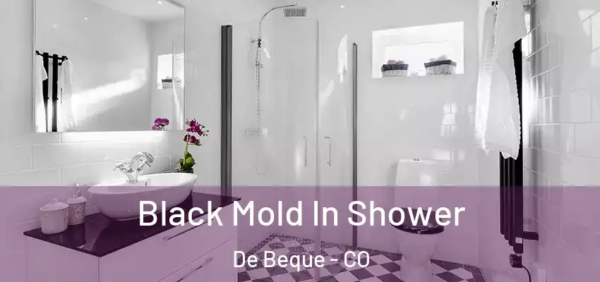 Black Mold In Shower De Beque - CO