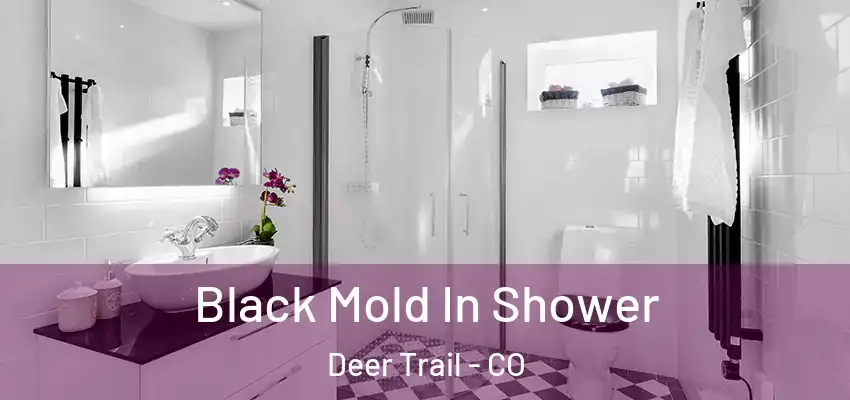 Black Mold In Shower Deer Trail - CO