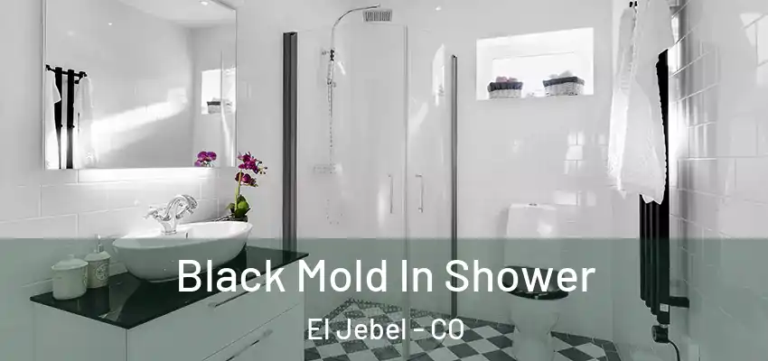  Black Mold In Shower El Jebel - CO